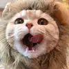 jonathon lawson - @jonathon.lawson - TikTok