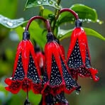 Jonathan Palmer - Facebook