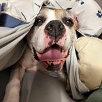 Jonathon Parker - @jonathon.parker.522 - Instagram
