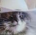 Jonathon Parrish - Facebook