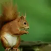 jonathonpeters76 - @jonathonpeters76 - TikTok