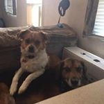John William Pittman - @jonathonpittman - Instagram