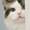 Jonathon Richardo Junior - @jonathon.richardo - TikTok
