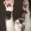 jonathan richardson - @jonathansrich - TikTok