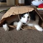 Jonathon Richardson - @local_meme_addict - Instagram