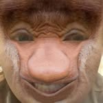 Jonathon Ryan Wagner - @nathon_ryan - Instagram