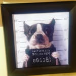 jonathon sharp-hunt - @jonathonsharphunt - Instagram