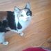 Jonathan Stephens - Facebook
