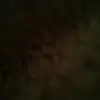 Jonathon thomas - @21112222222222eee - TikTok