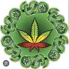 Jonathon Townsend - @living.my.life420 - TikTok