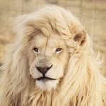 jonathon  turner - @genejonathon - Instagram