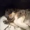 Jonathan Wagner - @jonathan.wagner27 - TikTok