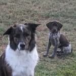 Jonathon Wagner - @wagsfl1776 - Instagram