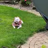 Jonathon Ward - @show.me.the.pitties - TikTok