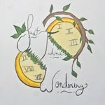 Jonathon Webb - @just.time.wondering - Instagram