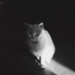 Jone楊志俊 - @joneyang1988 - Instagram