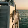 jonellgeraldean - @jonellgeraldean - TikTok