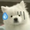 Jonell Moore - @jonell.moore - TikTok