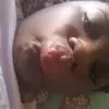 Jo nette Brown - @jo.nette.brown - TikTok