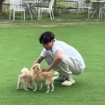 Jong Kim - @peacespt - Instagram