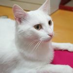 Jongha Park - @ssongpoa - Instagram