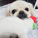 Jongsoon Yoon - @jongsoon.yoon - Instagram