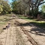 Joni Baird - Facebook