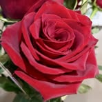 Joni Baird - Facebook