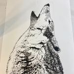 Joni Baird Fassler - @jonifassler - Instagram
