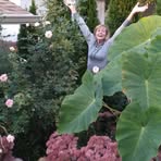 Joni Barker - Facebook