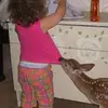 jonibarkerhiggins - @jonibarkerhiggins - TikTok