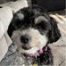 Joni Bishop - Facebook
