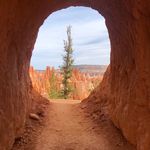 Joni Bishop - @joni.bishop.7 - Instagram