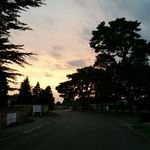 Joni - @joni_bishop100 - Instagram