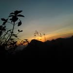 @joni black - @joniblack33 - Instagram