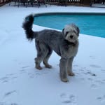 Joni Boyd Vaughan - @flossylove3 - Instagram