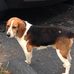 Joni Bratcher - Facebook