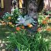 Joni Buckley - Facebook