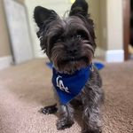 Joni Whitt Burk - @jonib503 - Instagram