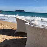 Joni Byrd - @byrdandnest - Instagram