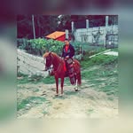 joni casellas - @jonicasellas - Instagram