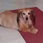 Joni Chambers - @jonichambers7393 - Instagram