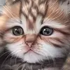jonimccombs - @jonimccombs - TikTok