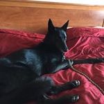 Joni Duff - @duffjoni - Instagram