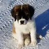 Joni Ellis - @joni.ellis6 - TikTok