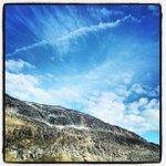 Joni Fields - @joni12fields58 - Instagram