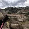 jonifields - @joni.fields - TikTok