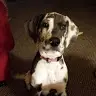 Joni Freeman - @jonifreeman2963 - TikTok