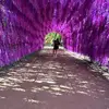 Joni Lynn 🌸🌺 - @joni.freeman4 - TikTok