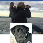 joni garrett - @jonig2763 - Instagram
